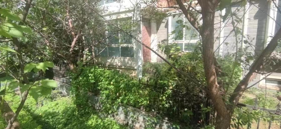 郑州市高新技术产业开发区梧桐街99号院40号楼5单元1-2层41号