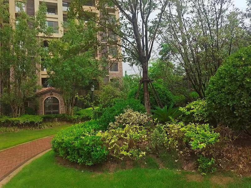 中牟县雁鸣湖镇正商双湖湾·碧雅苑9号楼1单元17层1702